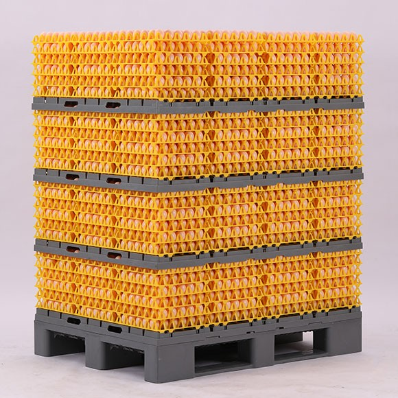 Egg Transport Systems