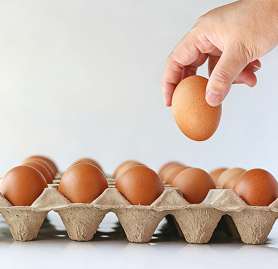 Egg Trays